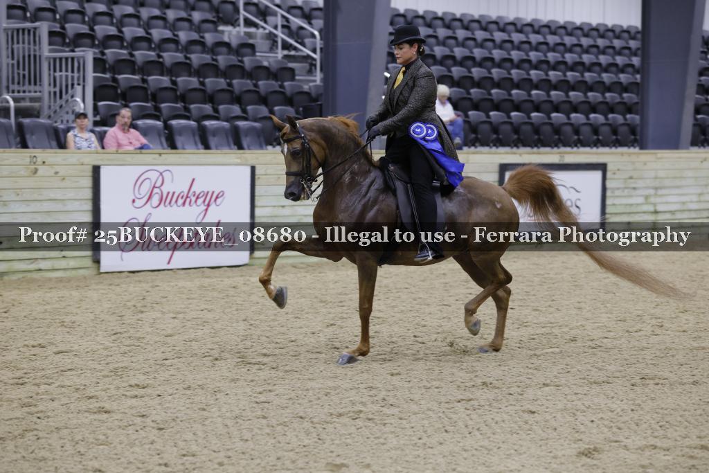 Proof 25BUCKEYE_08680