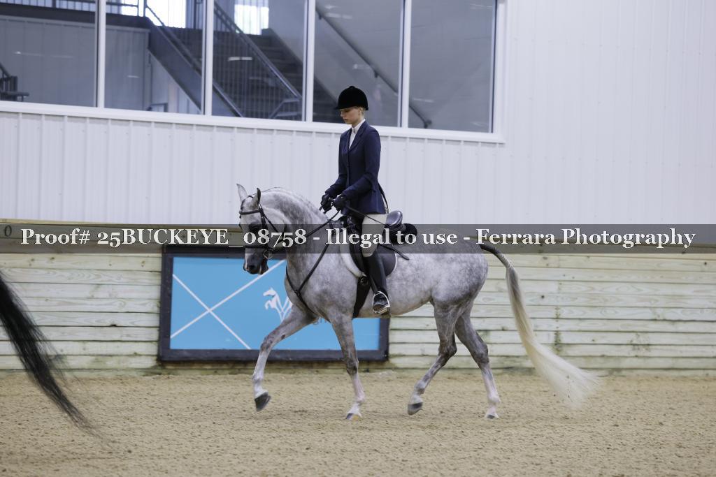 Proof 25BUCKEYE_08758