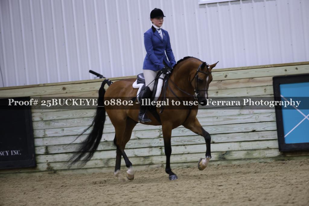 Proof 25BUCKEYE_08802