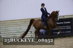 25BUCKEYE_08952 proof