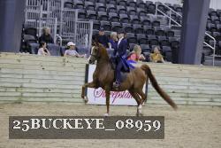 25BUCKEYE_08959 proof