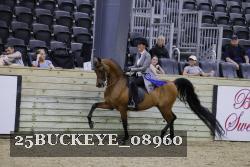 25BUCKEYE_08960 proof