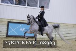 25BUCKEYE_08963 proof