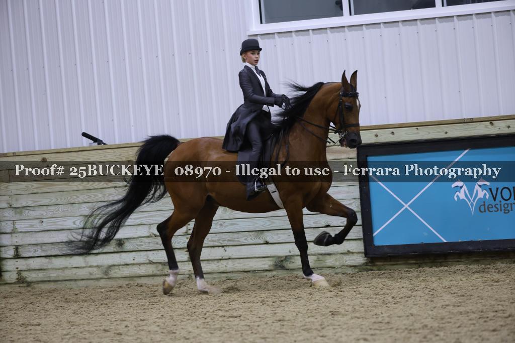 Proof 25BUCKEYE_08970
