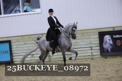 25BUCKEYE_08972 proof