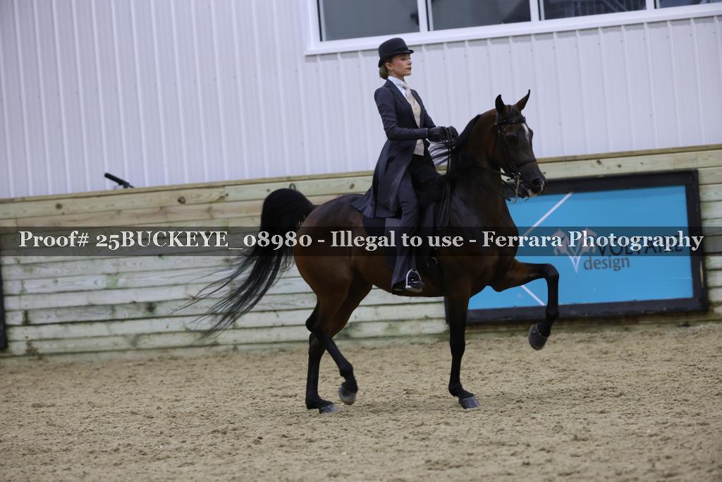 Proof 25BUCKEYE_08980