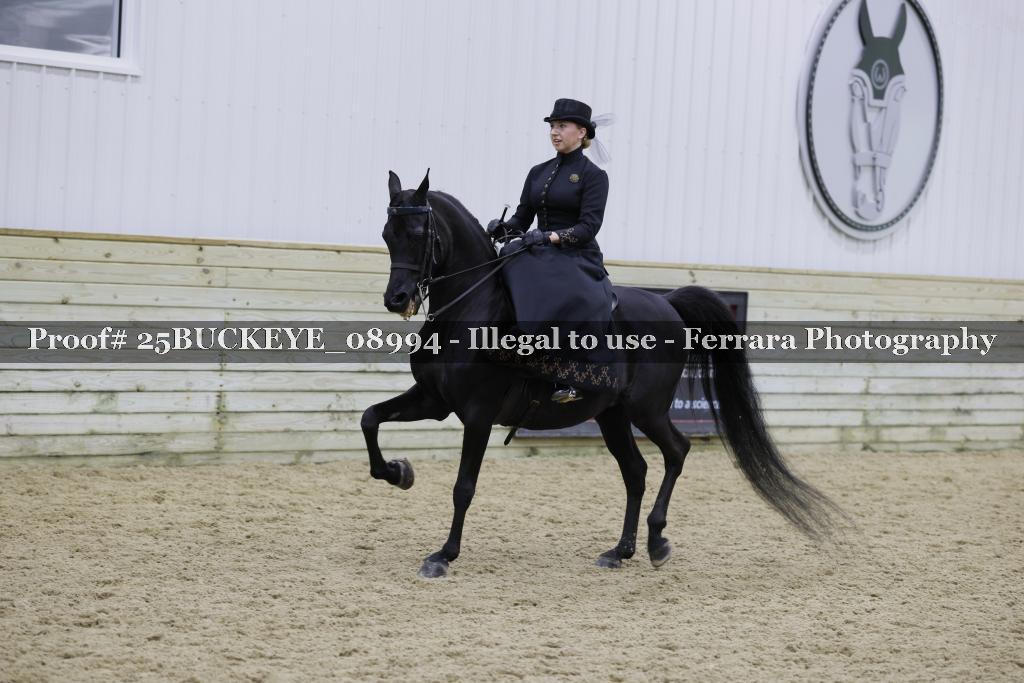 Proof 25BUCKEYE_08994