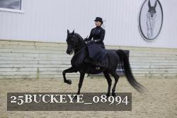 25BUCKEYE_08994 proof