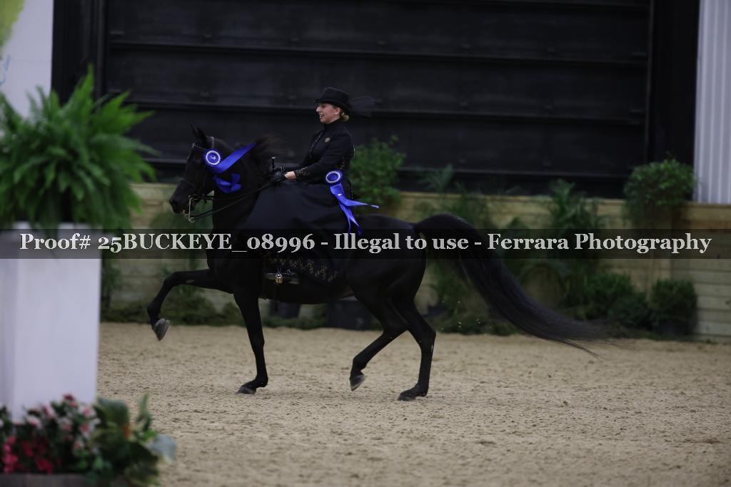 Proof 25BUCKEYE_08996