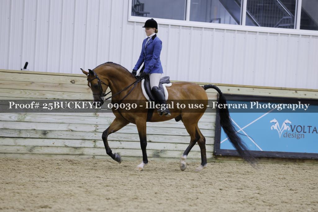 Proof 25BUCKEYE_09030