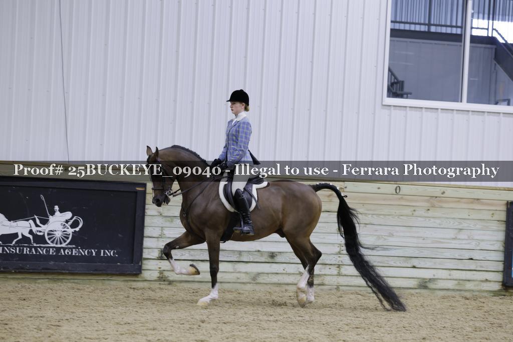 Proof 25BUCKEYE_09040