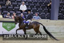 25BUCKEYE_09062 proof