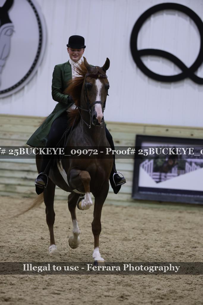 Proof 25BUCKEYE_09072