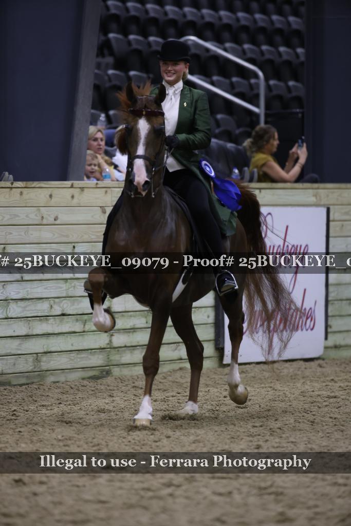 Proof 25BUCKEYE_09079