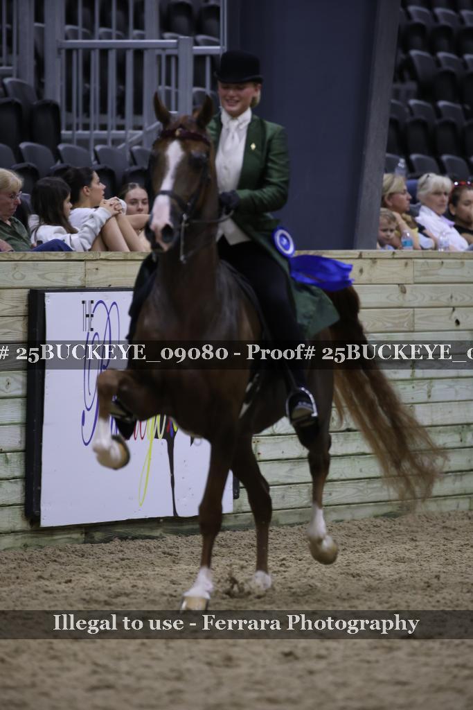 Proof 25BUCKEYE_09080
