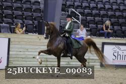 25BUCKEYE_09083 proof