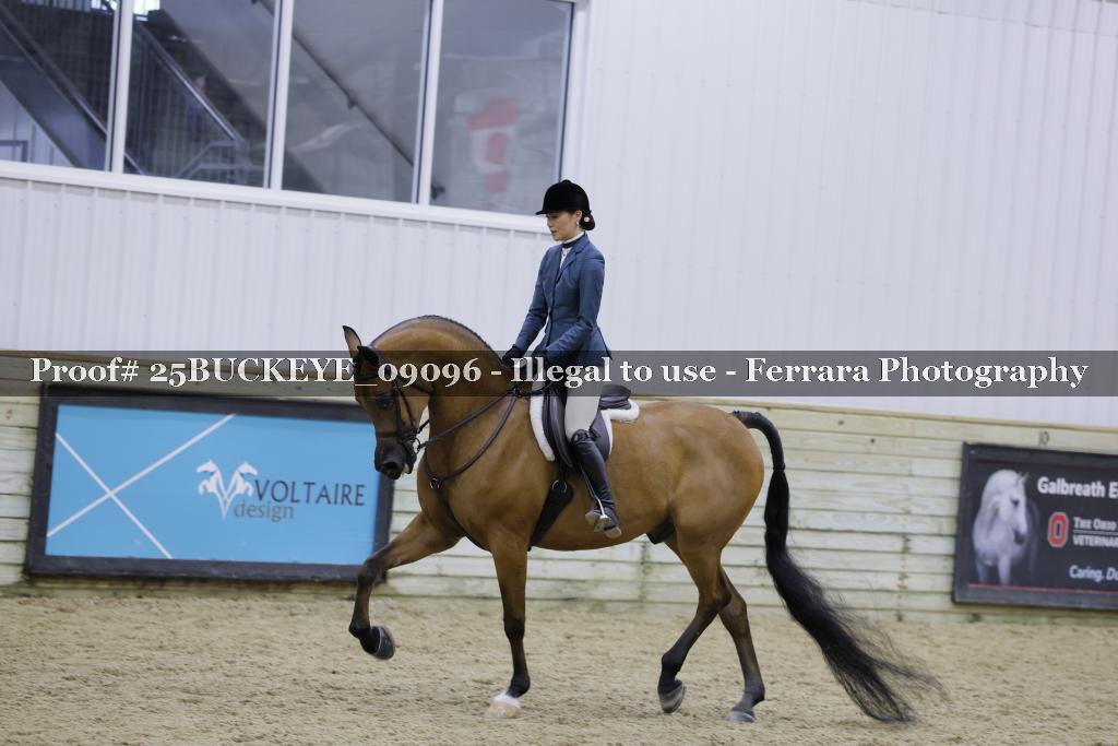 Proof 25BUCKEYE_09096