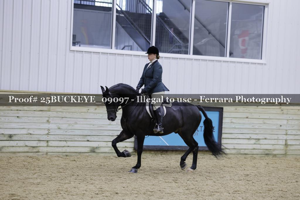 Proof 25BUCKEYE_09097