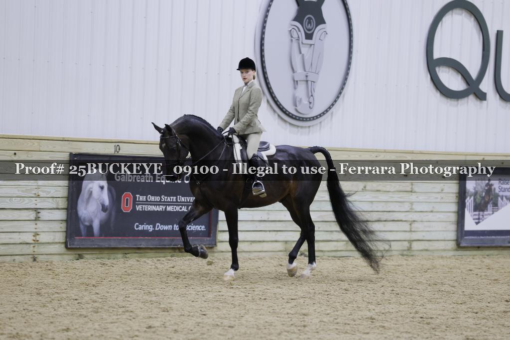 Proof 25BUCKEYE_09100