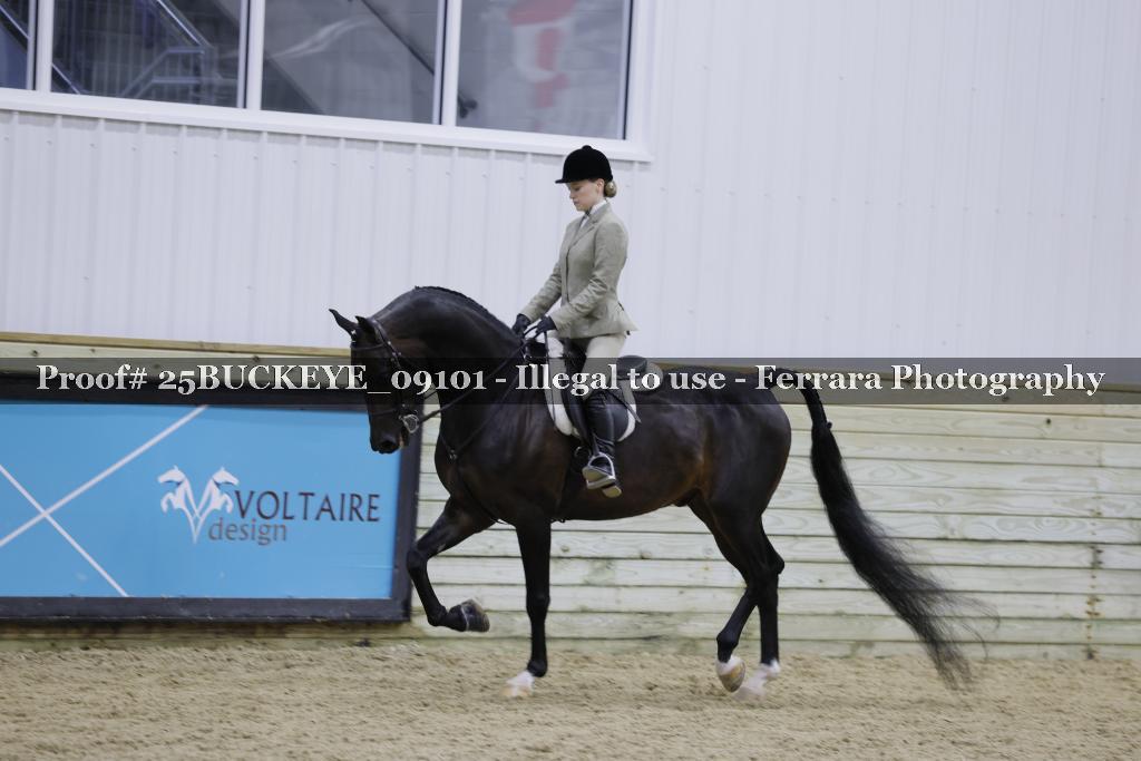 Proof 25BUCKEYE_09101