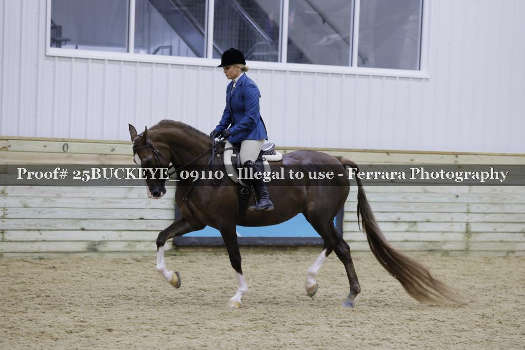 Proof 25BUCKEYE_09110