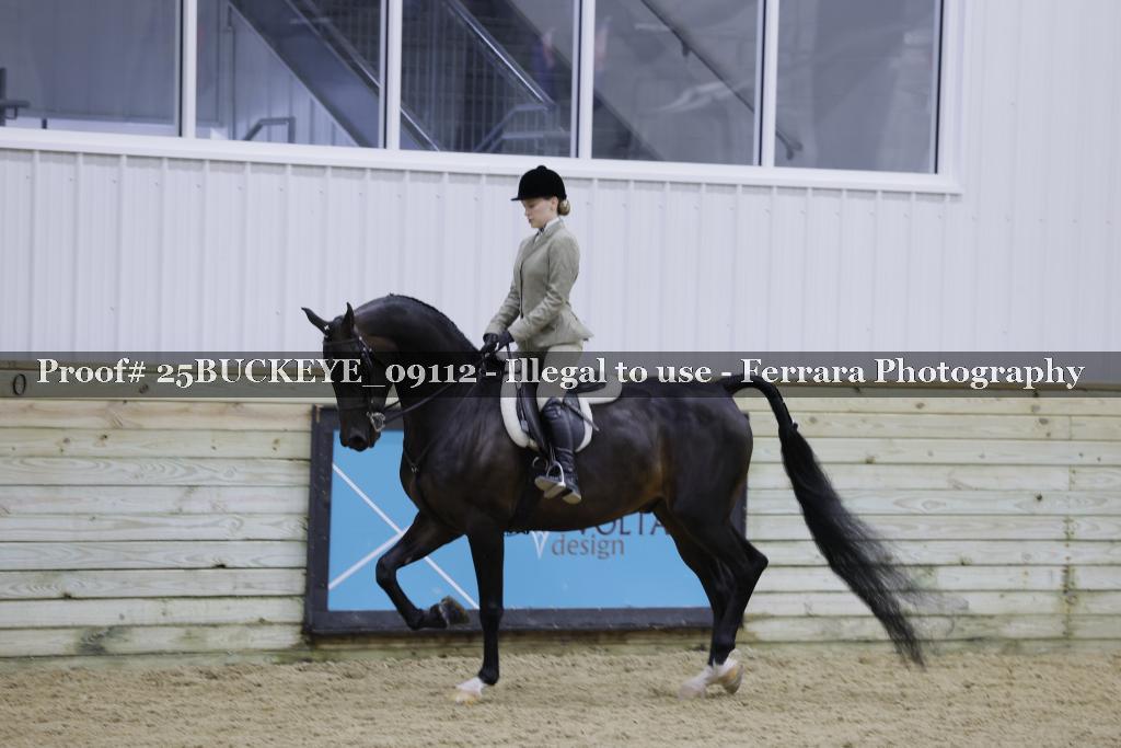 Proof 25BUCKEYE_09112