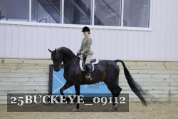 25BUCKEYE_09112 proof