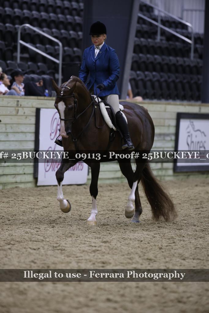 Proof 25BUCKEYE_09113
