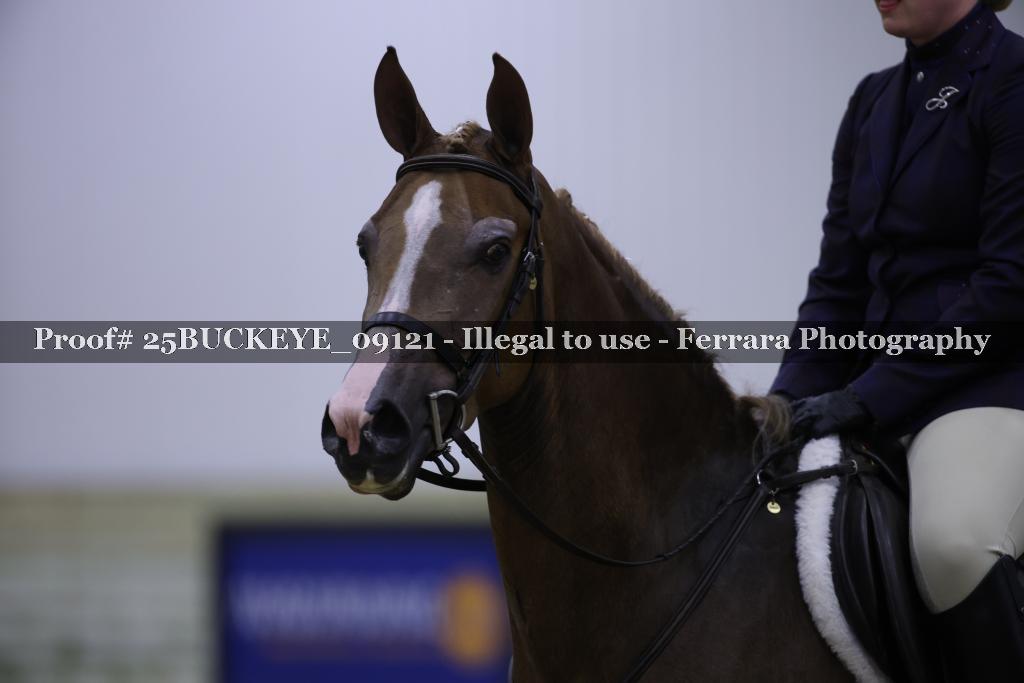 Proof 25BUCKEYE_09121