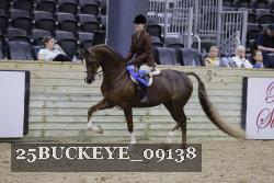25BUCKEYE_09138 proof