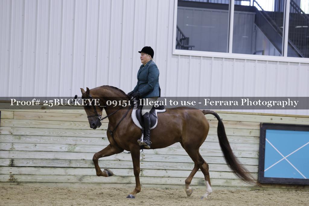 Proof 25BUCKEYE_09151