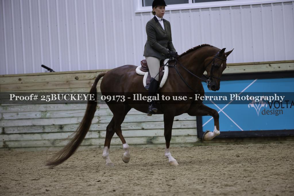 Proof 25BUCKEYE_09173