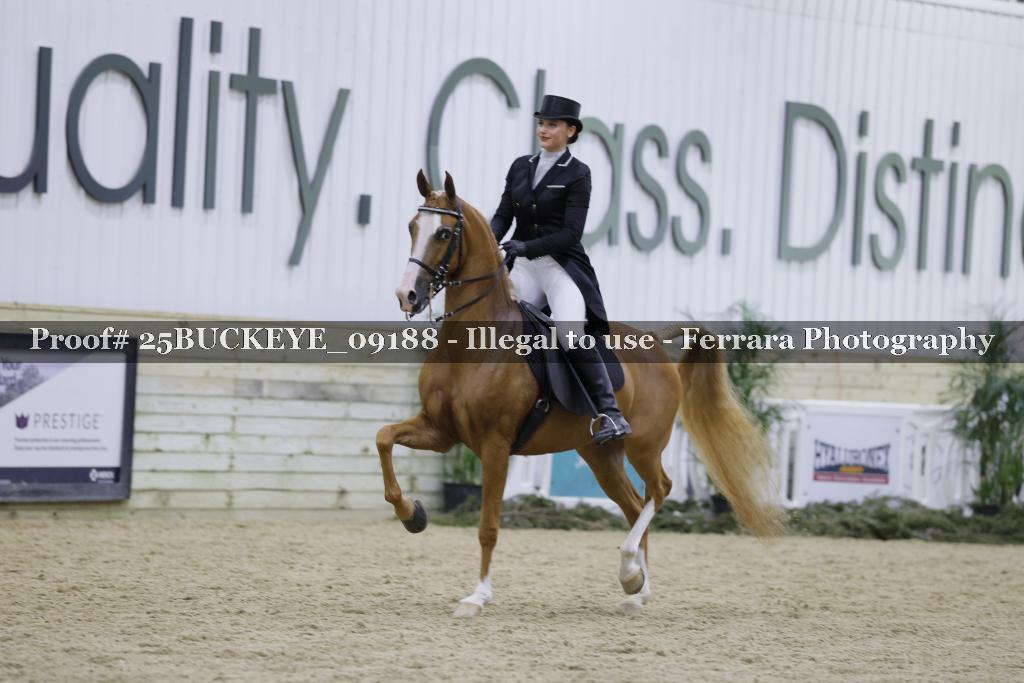 Proof 25BUCKEYE_09188