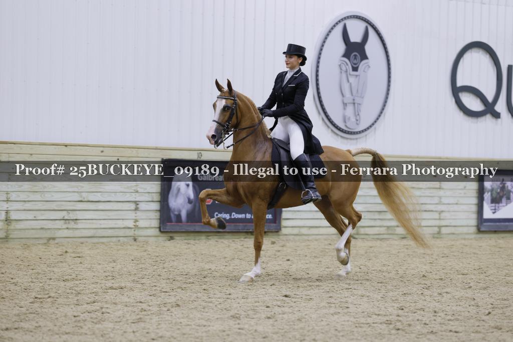 Proof 25BUCKEYE_09189