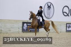 25BUCKEYE_09189 proof