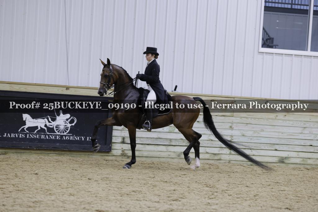 Proof 25BUCKEYE_09190