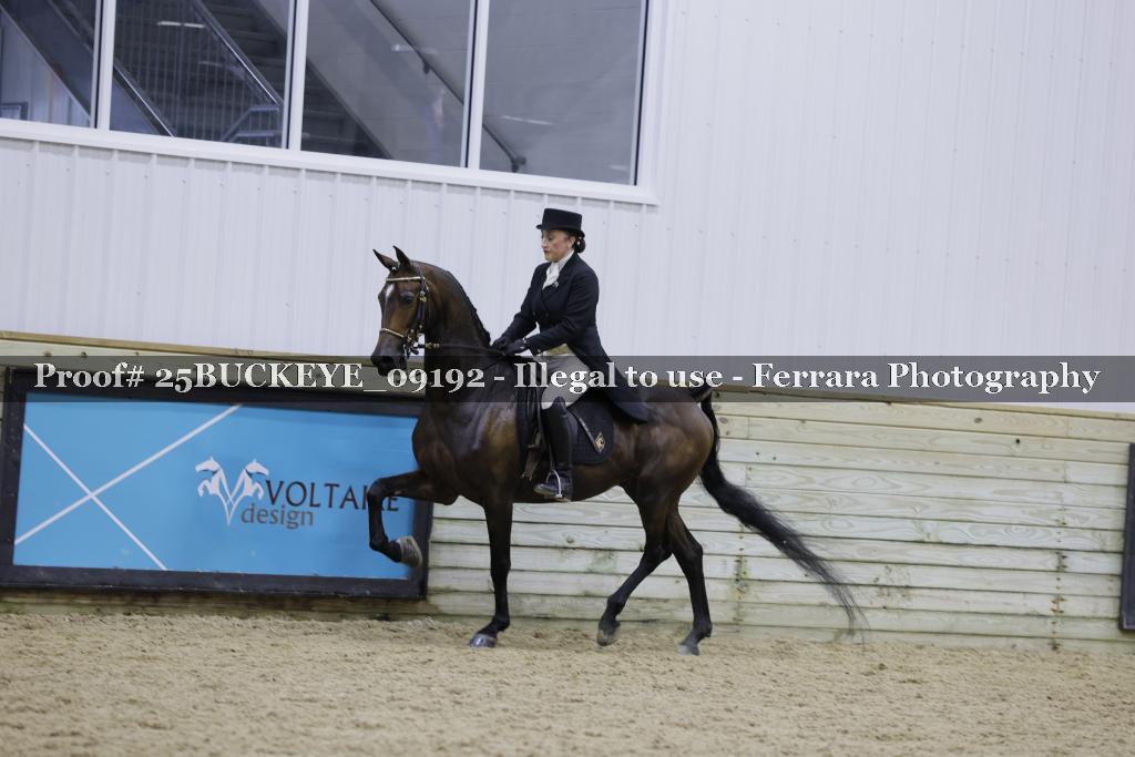 Proof 25BUCKEYE_09192