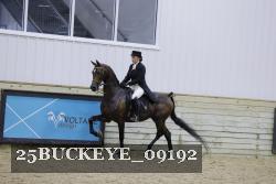 25BUCKEYE_09192 proof