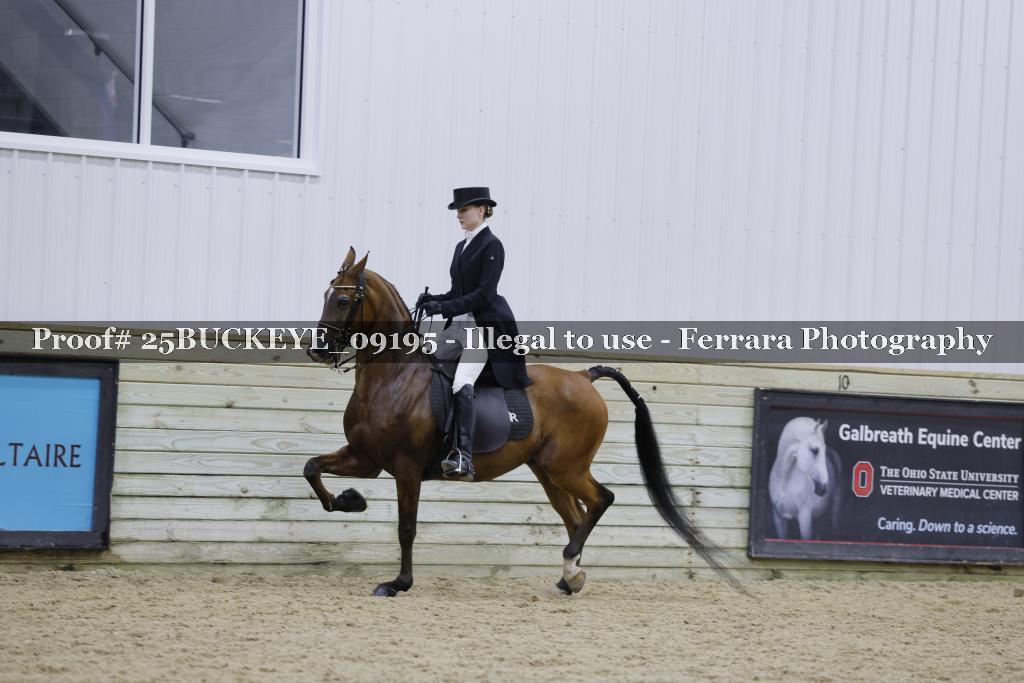 Proof 25BUCKEYE_09195
