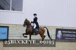 25BUCKEYE_09195 proof
