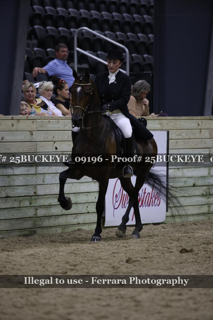 Proof 25BUCKEYE_09196