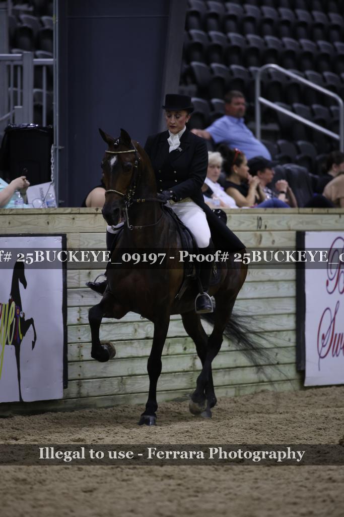 Proof 25BUCKEYE_09197