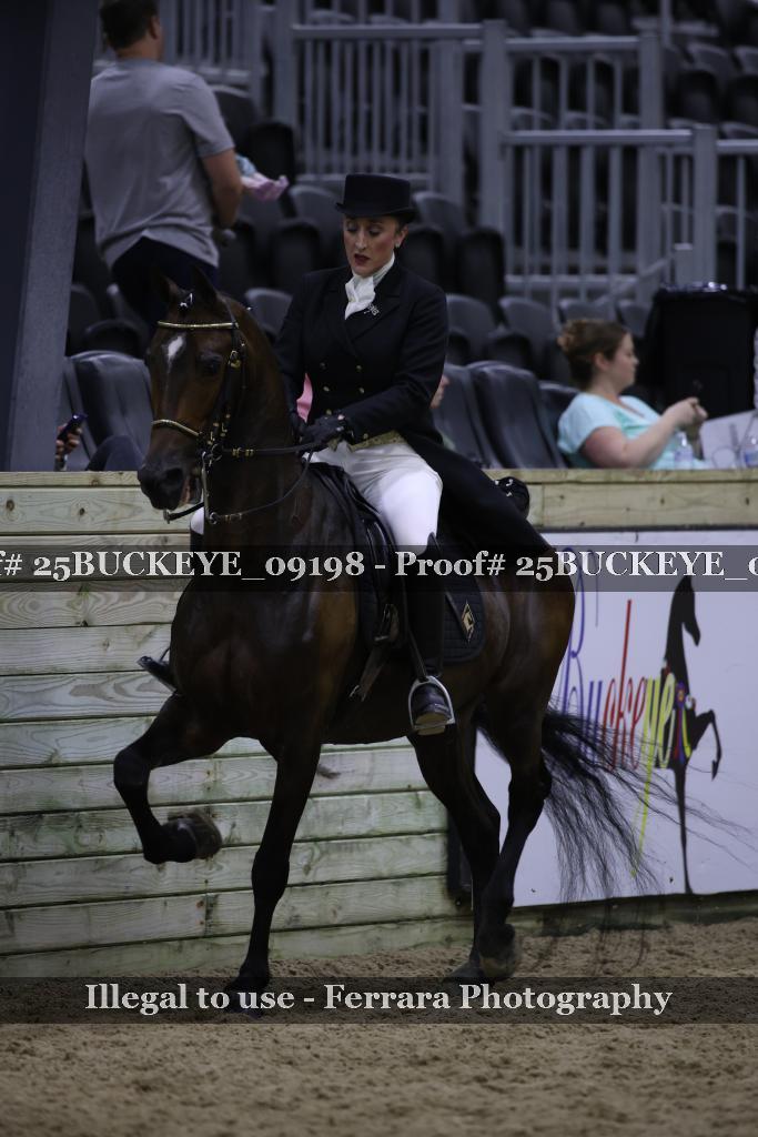 Proof 25BUCKEYE_09198