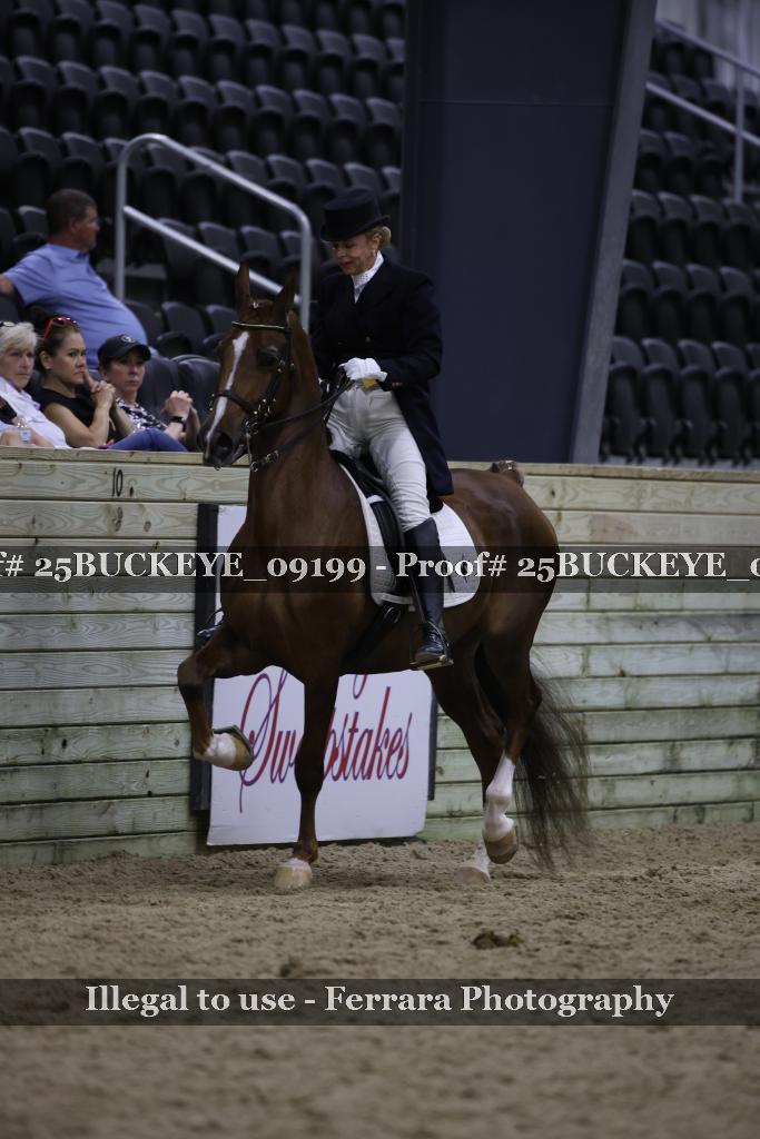 Proof 25BUCKEYE_09199