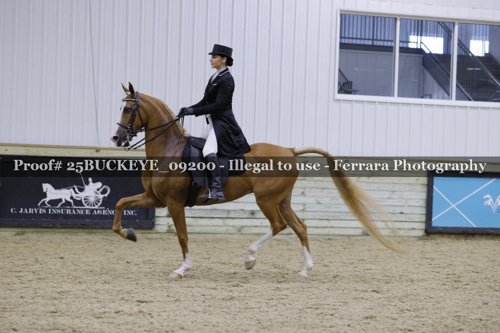 Proof 25BUCKEYE_09200