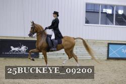 25BUCKEYE_09200 proof
