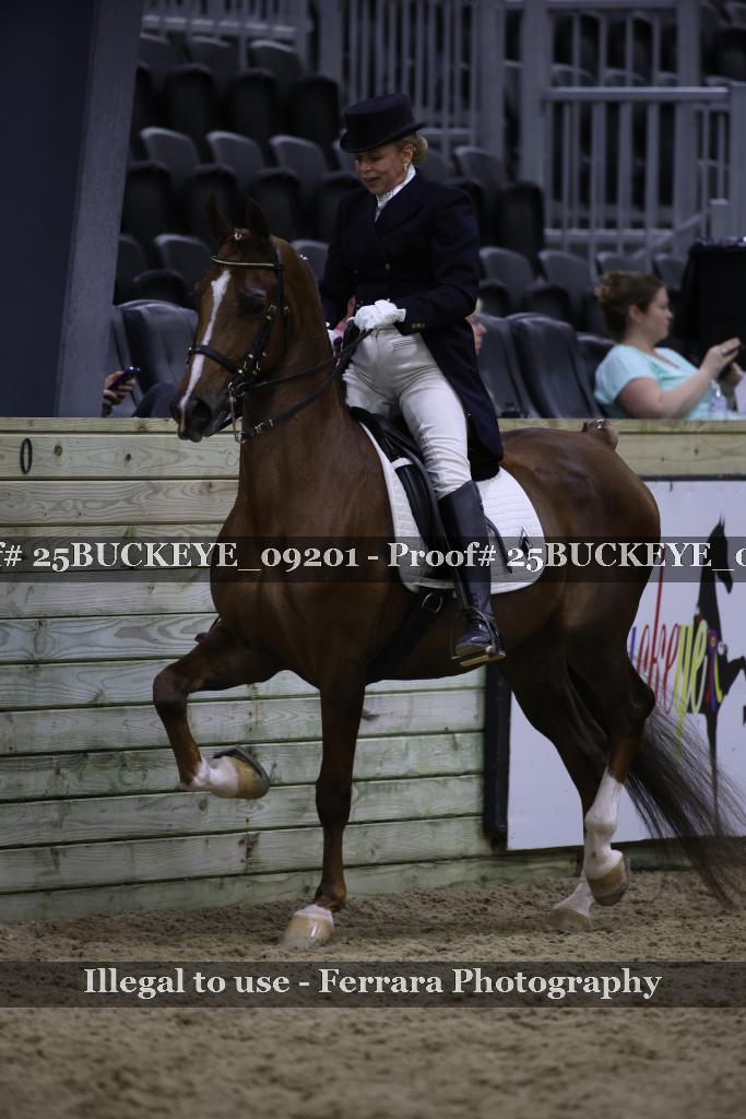 Proof 25BUCKEYE_09201