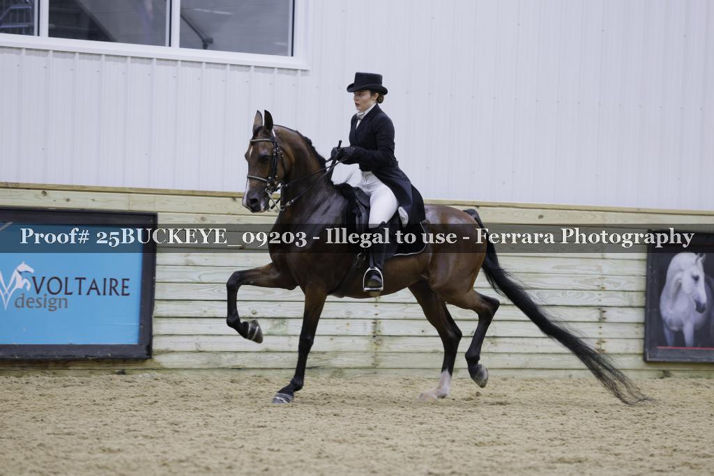 Proof 25BUCKEYE_09203