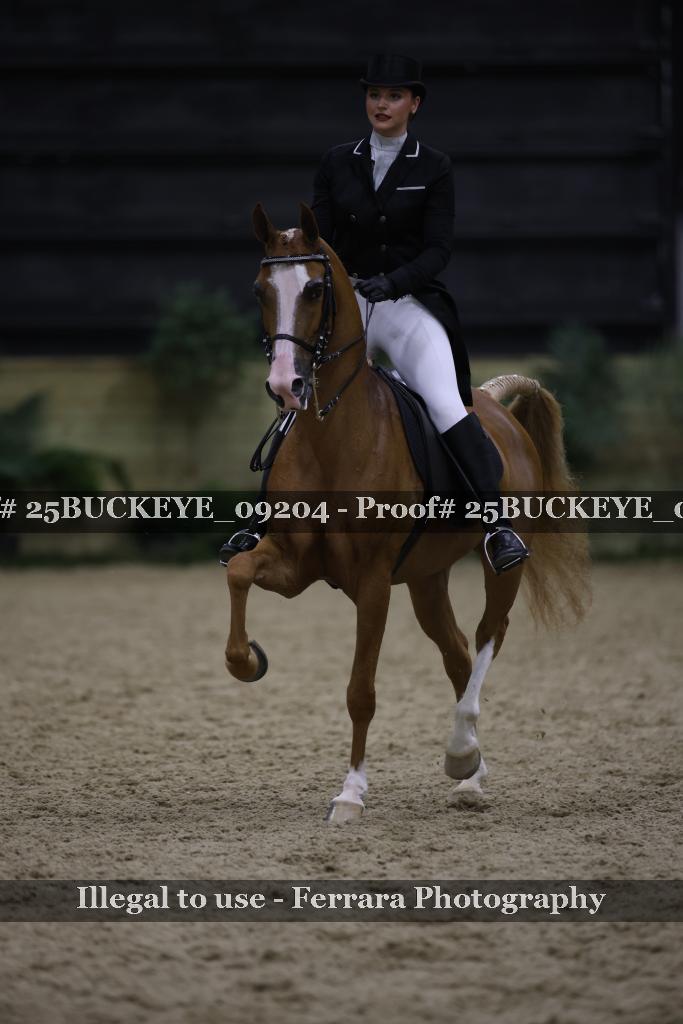 Proof 25BUCKEYE_09204