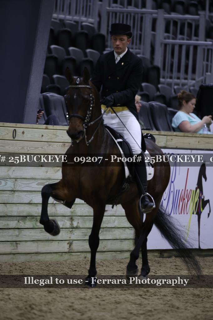 Proof 25BUCKEYE_09207